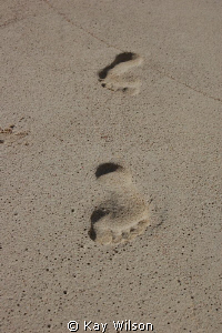 Footprints on the beach, Tobago Cays, St. Vincent and the... by Kay Wilson 